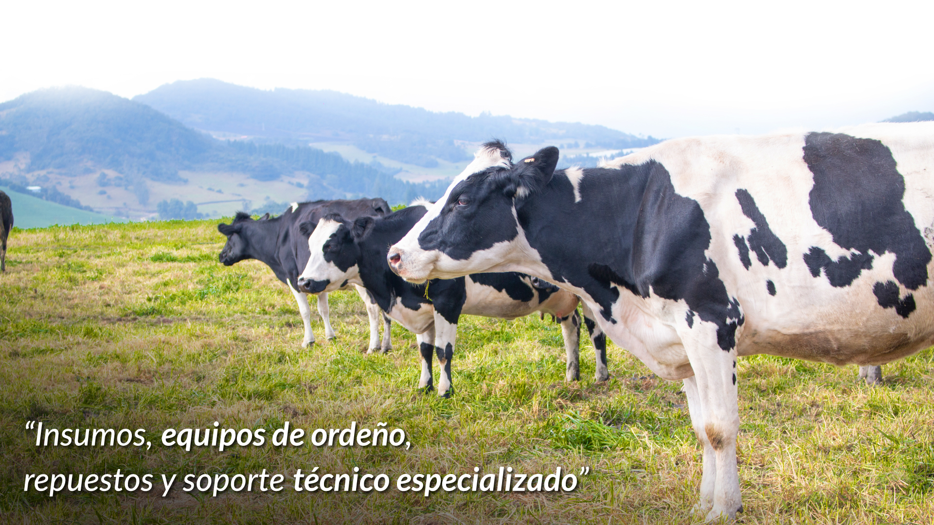 Video Corporativo Temacol